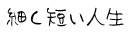 �J�i�f����񂿁B